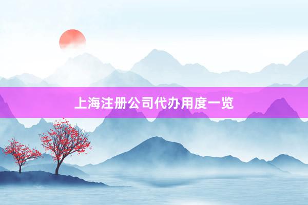上海注册公司代办用度一览