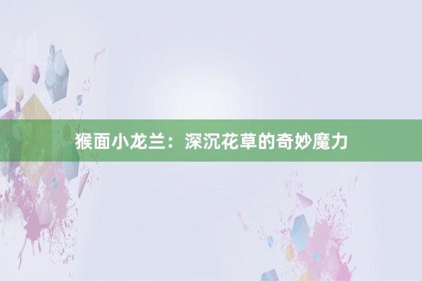 猴面小龙兰：深沉花草的奇妙魔力
